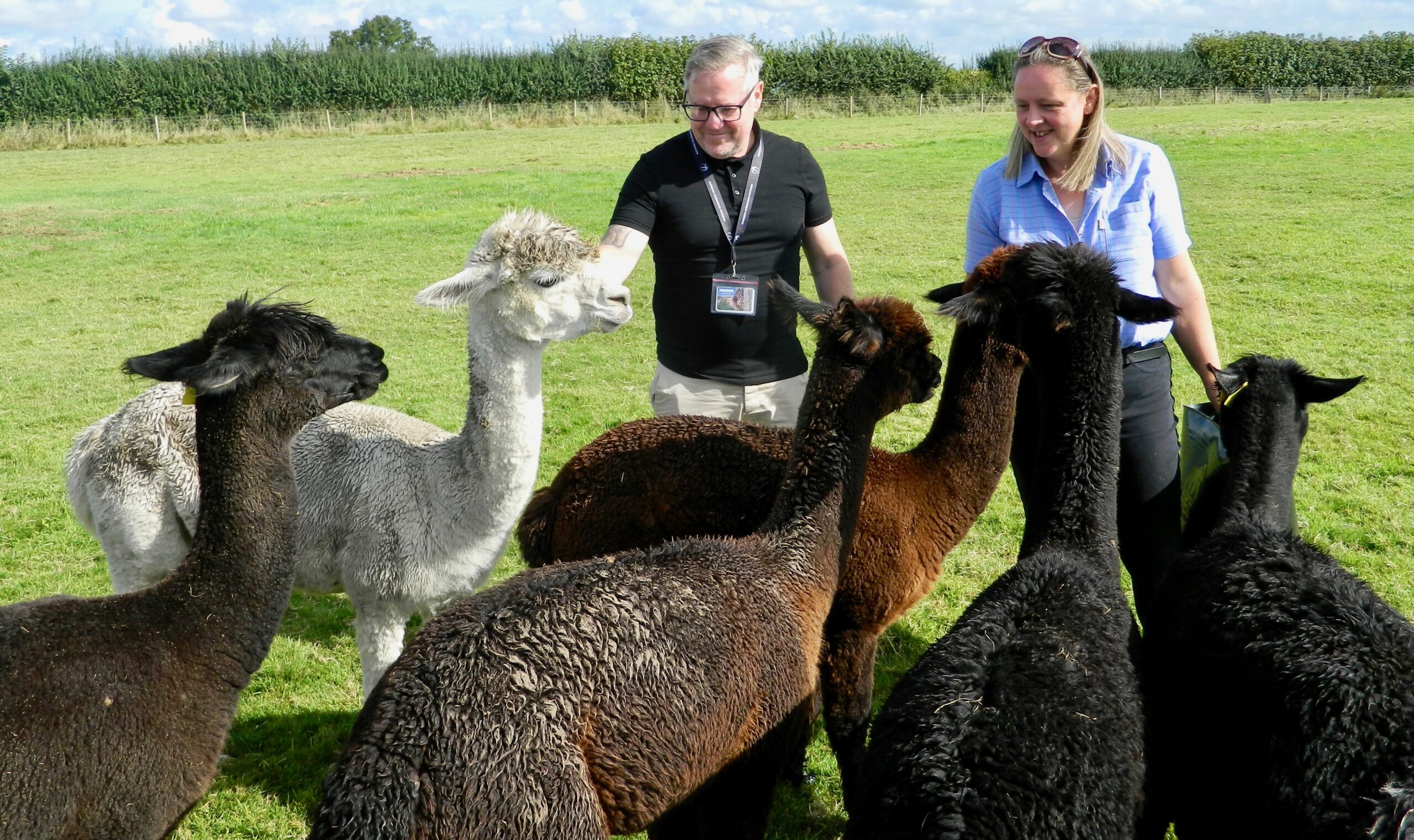 Frankly Alpacas links up with alternative education programme | What's ...